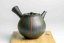 Seiho - Tsuzuki Takao Kyusu - 330ml