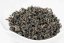 Shizuoka Sayamakaori Koucha 2nd Flush 2026 - 50g