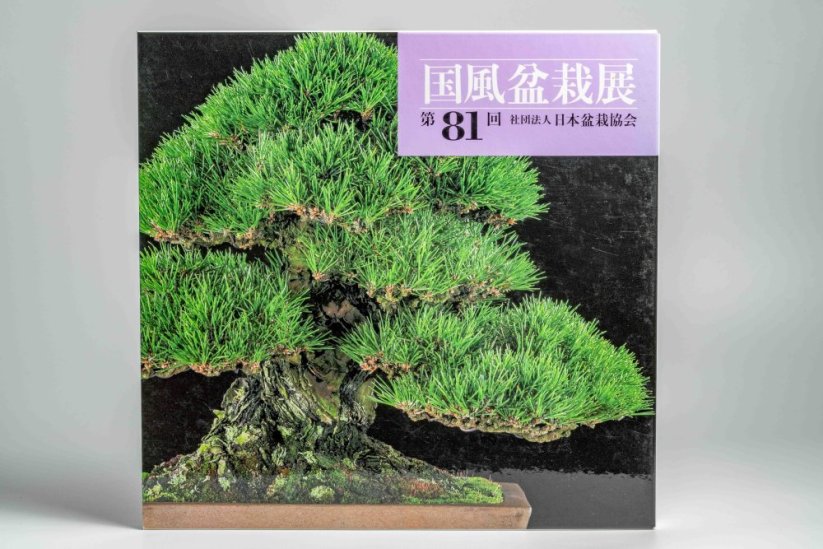 Kokufu Ten  Exhibit Books - Ročník: No.81