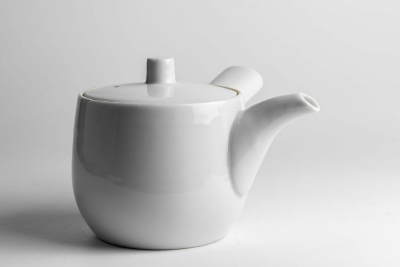 Mino Ware Porcelain Kyusu - 300ml