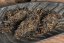 Guchayuan "Ban Zhang" Sheng 2008 - 500g - Weight: 50g