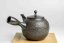 Koshin Vintage Pine Tree Peel Kyusu - 420ml