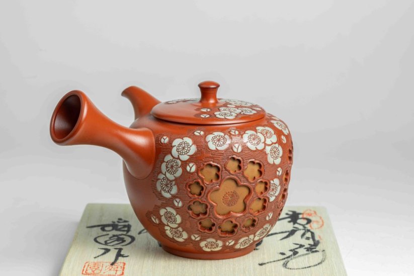 Shunen Mano Double-layer Red Plum Blossom Kyusu - 250 ml