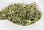 Darjeeling Giddapahar Wonder FF2025 - 50g