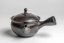 Gyokuryusaku Mogake Kyusu - 190ml