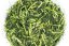 Sencha Karigane Ishidera - Kukicha 2025 - 50g