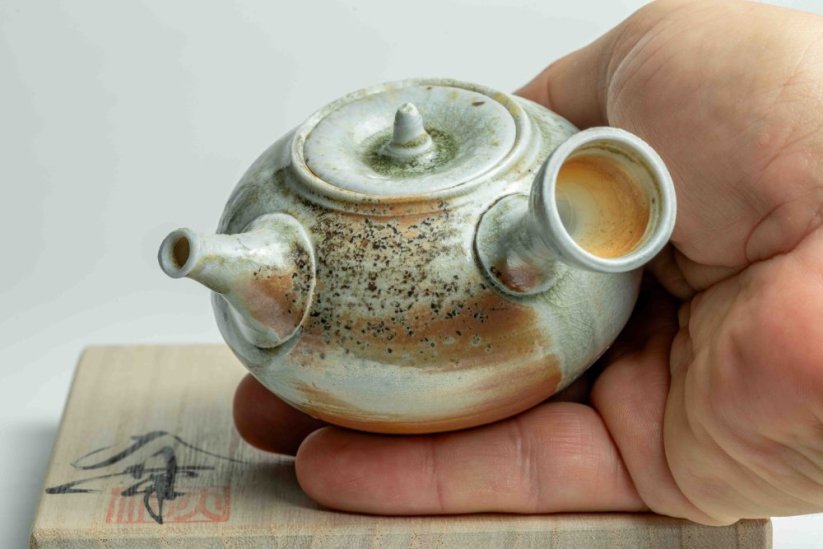 Taisuke Shiraiwa Yohen Kyusu  - 150ml