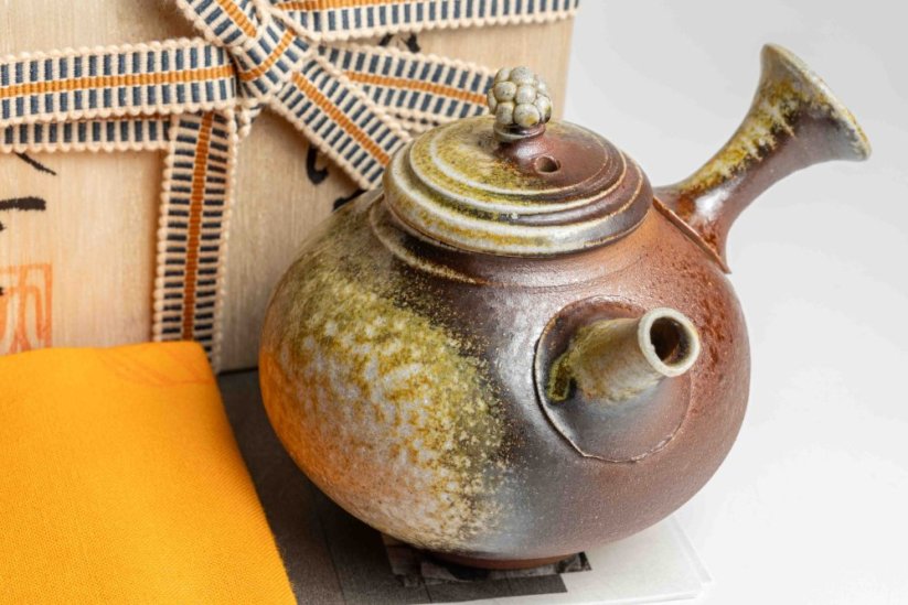 Taisuke Shiraiwa Yohen Kyusu  - 170ml