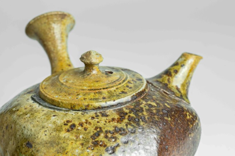 Taisuke Shiraiwa Triangular Kyusu  - 170ml