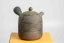 Mori Iroku IV Yohen Kyusu - 180ml