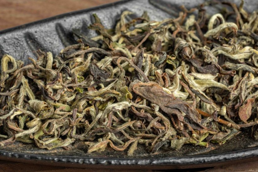 Darjeeling Takdah Forest Whisper FF2026 - 50g