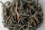 Java High Mountain Black 1/2025 - 30g