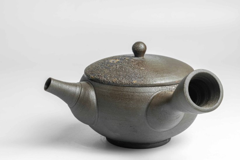 Keiichiro Watanabe Kyusu - 230 ml
