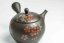 Hirotaka Umehara Red Flower Kyusu - 200ml