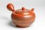 Shoyo Itoh Pine Bark Kyusu -200ml