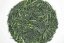Kagoshima Matsu Jirushi Kabusecha 2025 - 50g