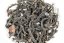 Zuo Ruyu I-Lan Rock Oolong 2014 - 30g