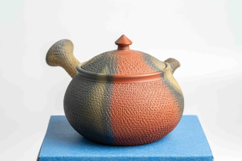 Mori Iroku IV Yohen Kyusu - 130ml