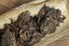Dark Raven - Chiang Rai Gushu Shu Cha 2025 - 100g