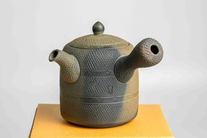 Mori Iroku IV Yohen Kyusu - 180ml