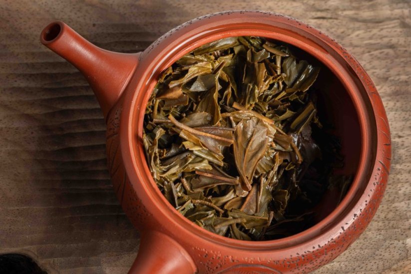 Haibara Yabukita Gaba Oolong 2025 - 50g