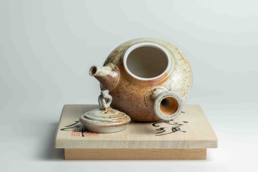 Taisuke Shiraiwa Yohen Kyusu  - 180ml