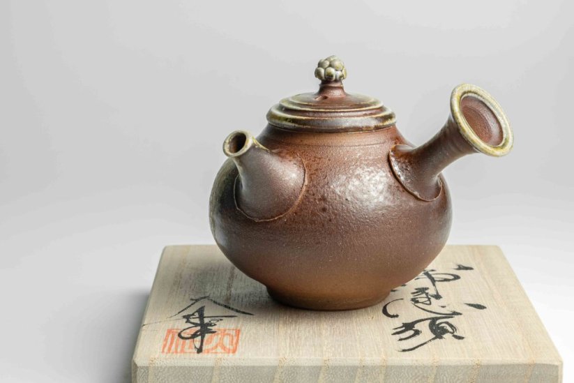 Taisuke Shiraiwa Yohen Kyusu  - 170ml