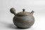 Shukei Kato Mogake Kyusu - 180 ml