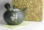 Shoryu Flowers Kyusu - 460 ml