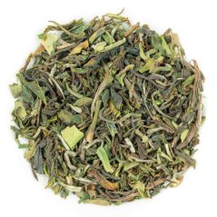 Darjeeling Poobong Clonal Special FF2025 - 50g