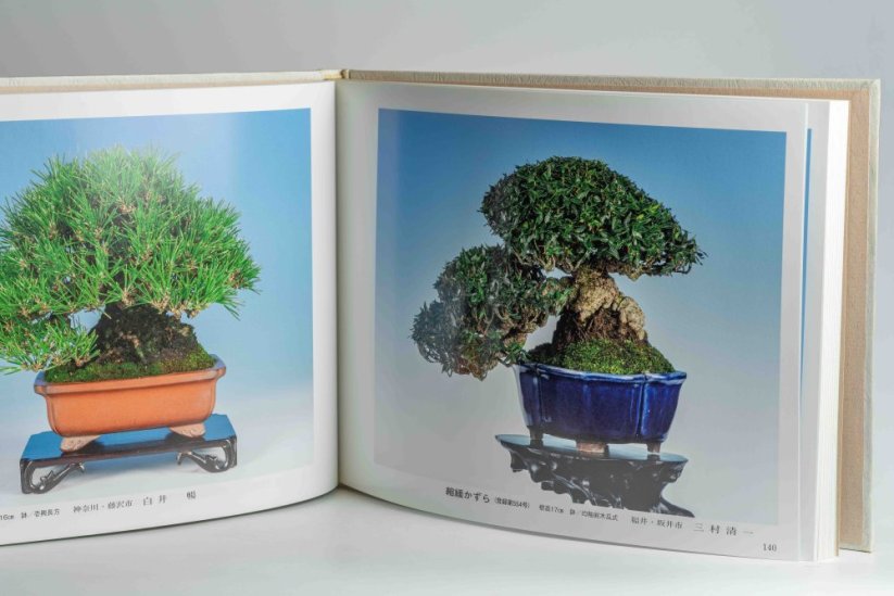 Gafu-ten Exhibit Book - 42