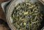 Shizuoka Saemidori Oolong 2026 - 50g