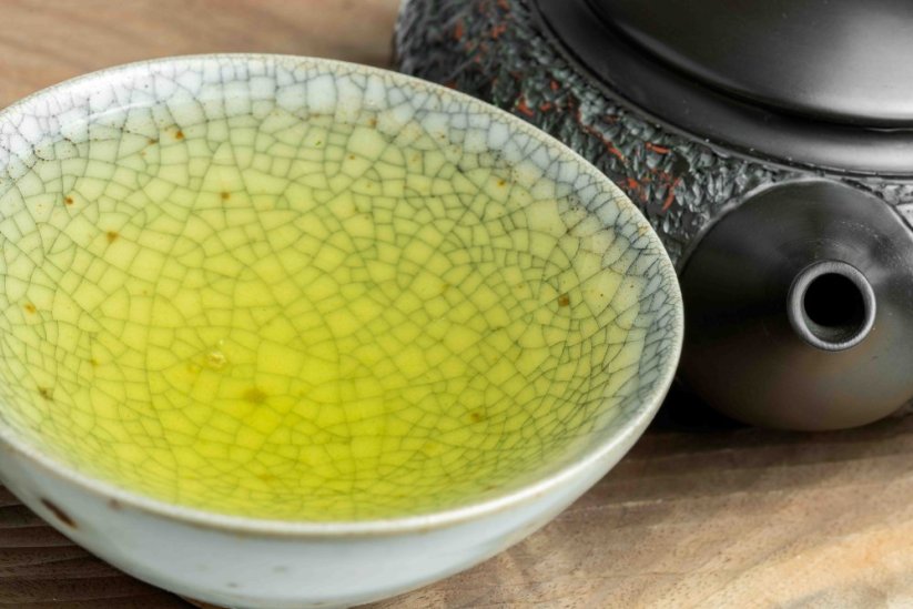Shincha Kamo Asanoka Fukamushi 2026 - 50g