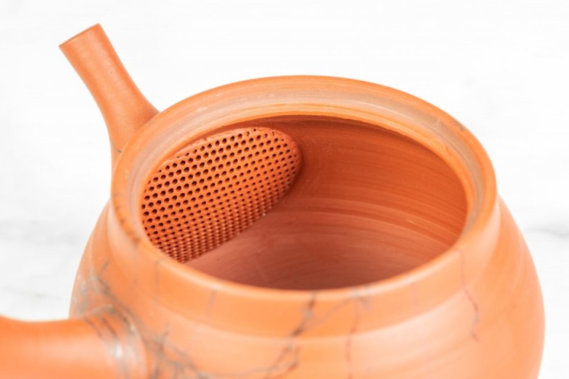 Hirotaka Umehara Mogake Kyusu - 240 ml