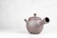Tomohiro Sawada Kyusu - 260 ml