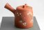 Seiho - Tsuzuki Takao Sakura Kyusu - 170ml