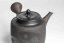 Seiho - Tsuzuki Takao - Black Kyusu - 290 ml