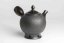 Koshin Marble Seaweed Kyusu - 130ml