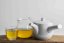 Mino Ware Porcelain Kyusu - 300ml