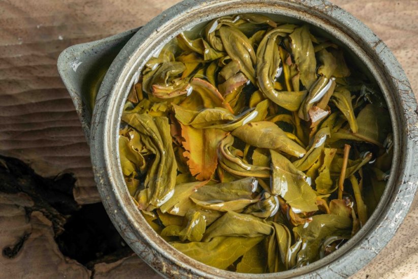 Shizuoka Sayamakaori Oolong - 50g