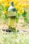 Hario Cold Brew Tea - 750 ml