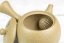 Tokoname Kyusu - 340 ml