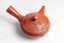Vintage Peony Carved Kyusu - 250ml