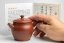 Huanglongshan Zhuni Clay Teapot - 180ml