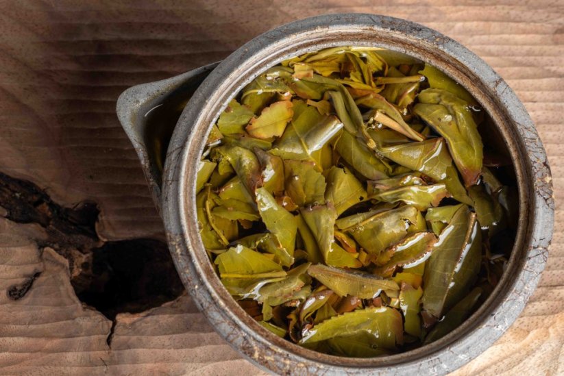 Shizuoka Okumidori Oolong 2025 - 50g