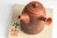 Konishi Yohei Kyusu Waves Carving - 260 ml