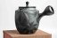 Seiho - Tsuzuki Takao - Momiji Kyusu - 220 ml