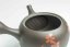 Hirotaka Umehara Red Flower Kyusu - 200ml