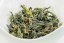 Chin Xin Gan Zhi PQM 2025 Green - 50g