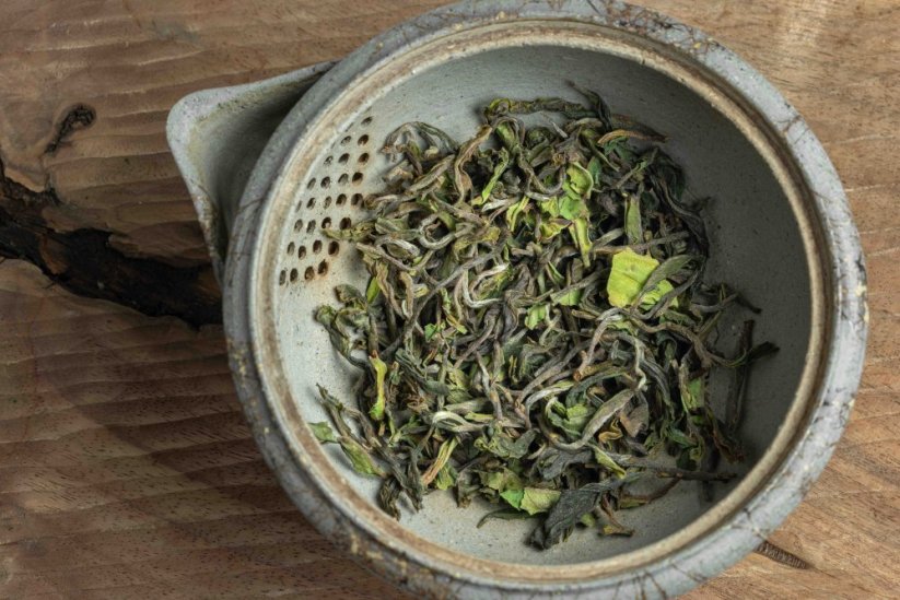 Darjeeling Giddapahar Clonal Wonder FF2026 - 50g
